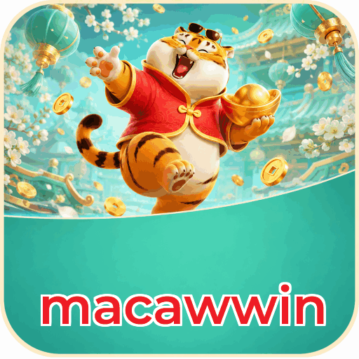 Comparação APP mobile vs versão web da macawwin